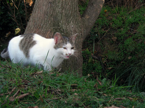 DSCN4076.JPG