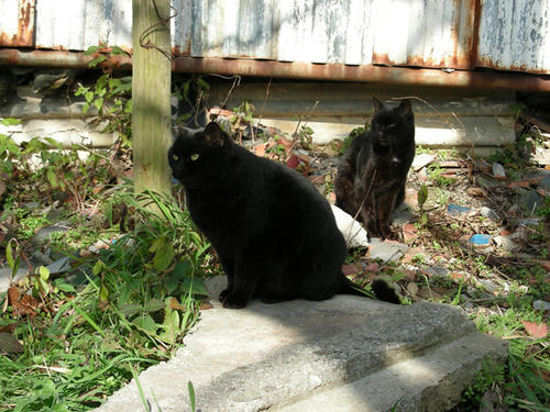 DSCN4081.JPG
