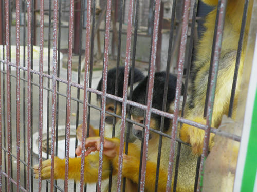IMGP0153.JPG