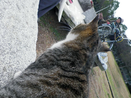 IMGP0172.JPG