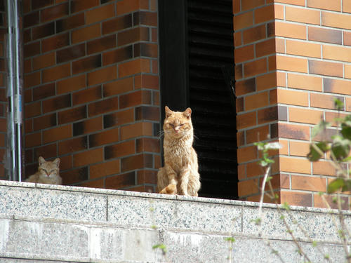 DSCN4375.JPG