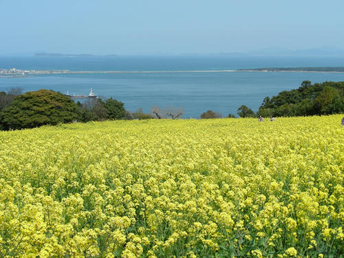 DSCN4397.JPG