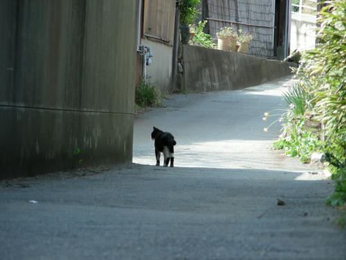 DSCN4404.JPG