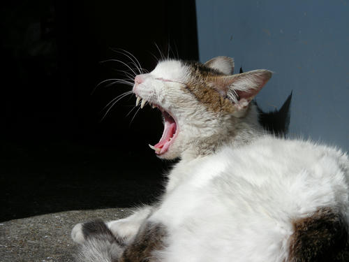 DSCN4461.JPG