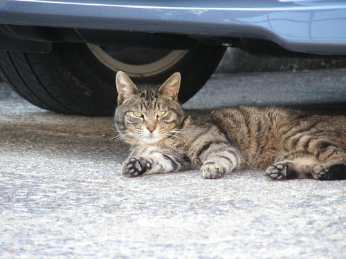 DSCN4466.JPG