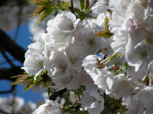 DSCN4469.JPG