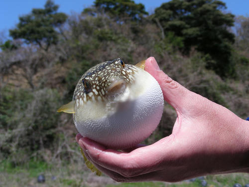 DSCN4472.JPG