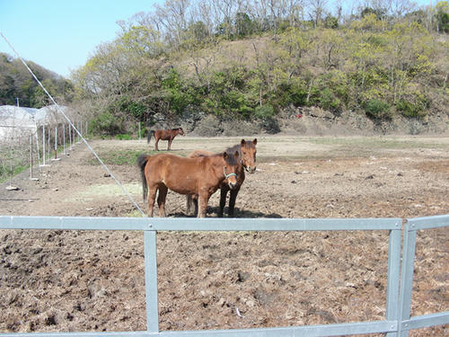 DSCN4488.JPG