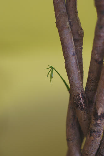 IMGP1327.JPG