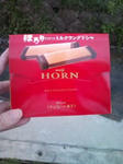 HORN.jpg