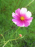 080910_01.jpg