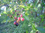 080910_02.jpg