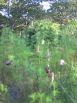 080910_03.jpg