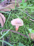 080910_04.jpg