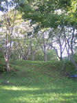 080910_06.jpg