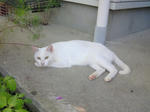 080912_02.jpg