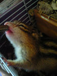081210_1.jpg