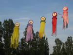 WS000048.JPG