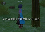 mabinogi_2009_05_11_005_1.jpg