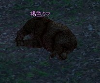 褐色クマ討伐