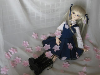 53sakura.jpg