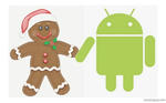 gingerbread-android.jpg