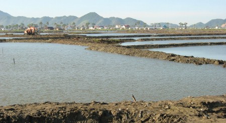 建設中のえび養殖場