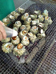 さざえの壺焼き