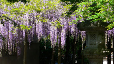 宗生寺