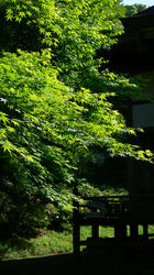 宗生寺