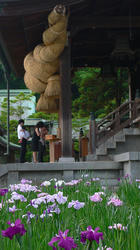 宮地嶽神社