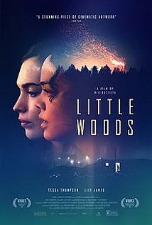 [Little Woods]