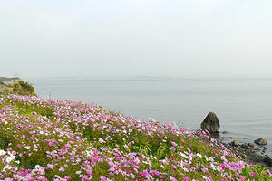 972a4105.jpg