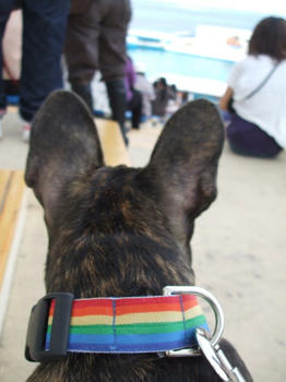 DSCF6851.JPG
