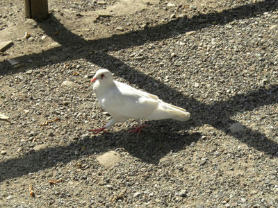 CIMG0122.jpg
