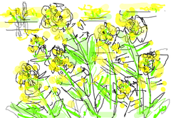 fimg_11205314832.png