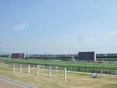 京都競馬場