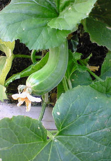 200907141809001.jpg