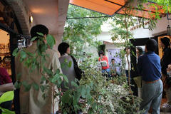 2011_10_23_1350.jpg