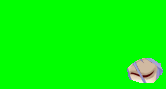 surface0-3.png