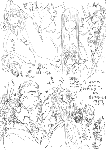 zanpakutou.gif