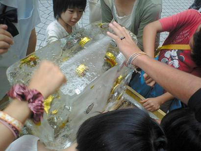 0908131.JPG