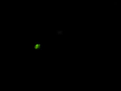 1006112.JPG