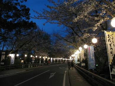 1204091.JPG