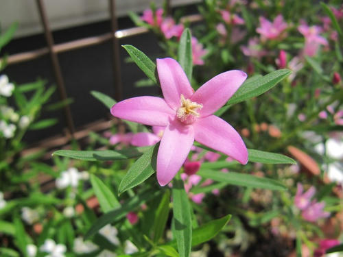 201206271.jpg