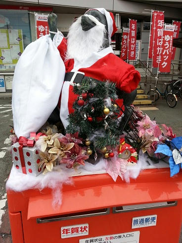 1212181.jpg