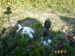 P1000240.JPG
