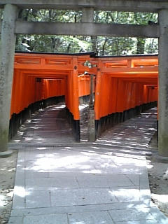 080822_111036.jpg