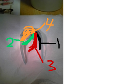 fimg_1257910741.png