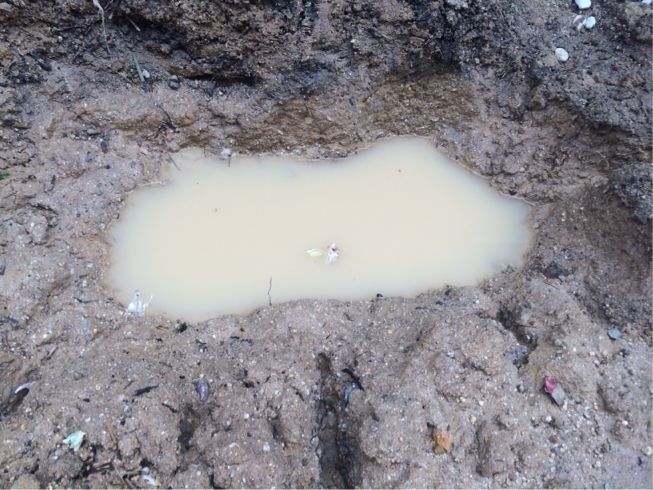 粘土質の土壌改良方法 我が家の 本気家庭菜園 実験場